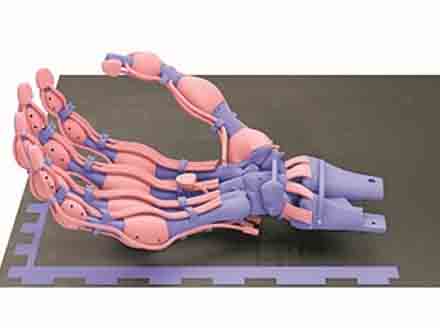 首度利用慢速固化塑料3D打印机械手有了骨骼、韧带和肌腱
