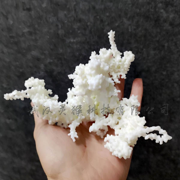 3D打印蛋白质Surface分子结构模型效果