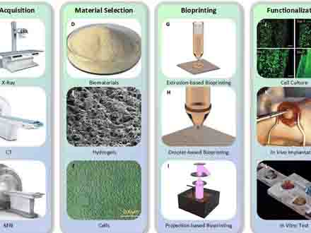 生物3D打印进展综述：从打印方法到生物医学应用