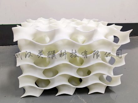 3D打印定制多孔空心网格结构水凝胶模型